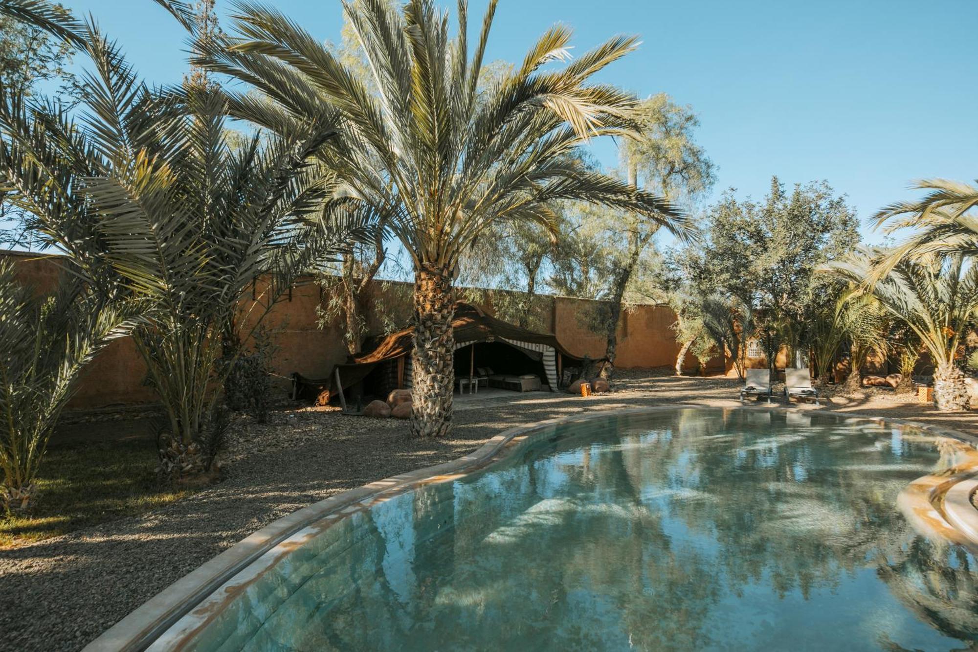 Villa Le Perroquet Bleu Marrakesh Exteriör bild